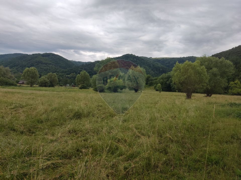 Land 2,700sqm Copalnic / Strada principala