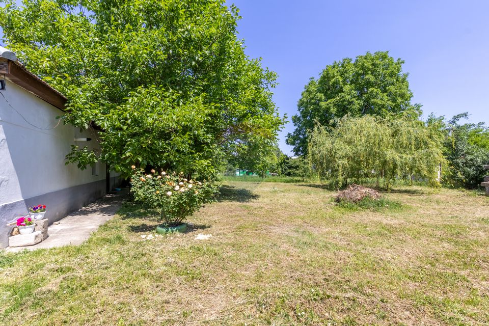 Proprietate versatilă cu casă, două hale și teren generos
