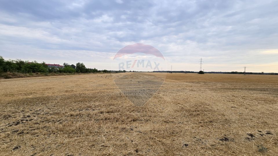 Teren intravilan Buftea, soseaua Tamasi