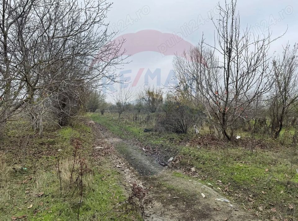 De vanzare teren intravilan 1862 mp in Bolintin-Vale