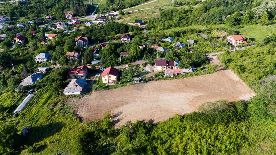 Land 2,934sqm Iasi / Calea Trecătoarea Păun,nr.12