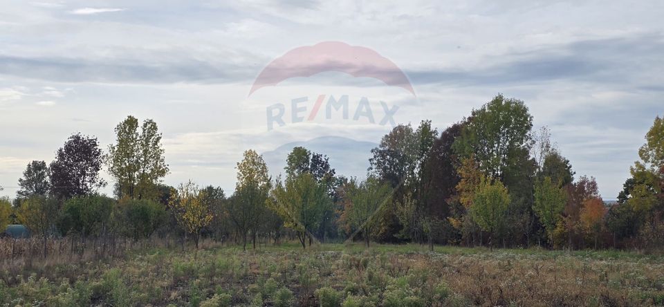 Teren generos cu potential în comuna Silindia, judetul Arad