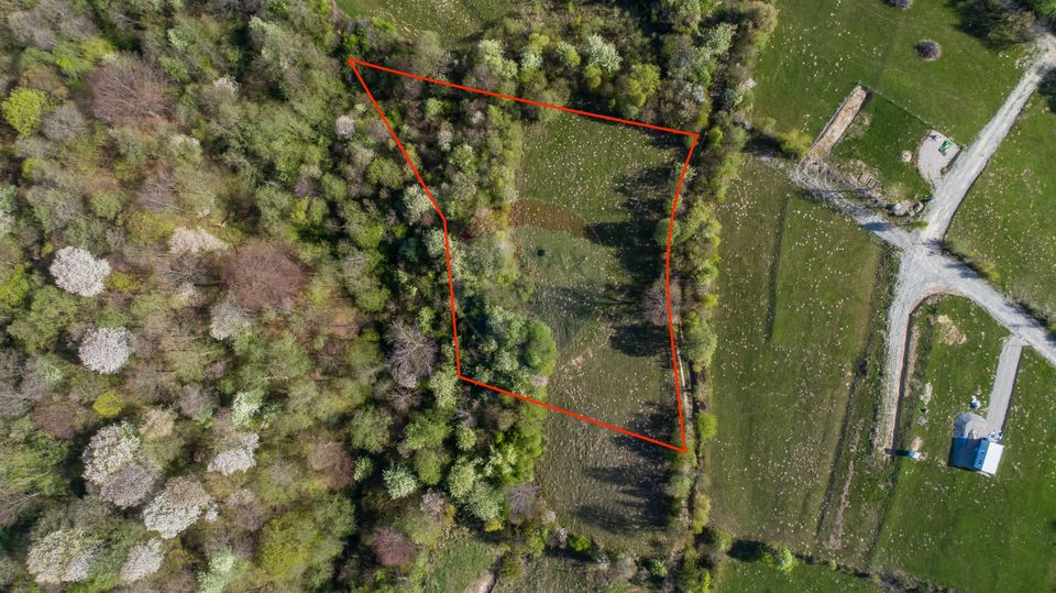 Land 6,800sqm Bran / Strada Tohanita
