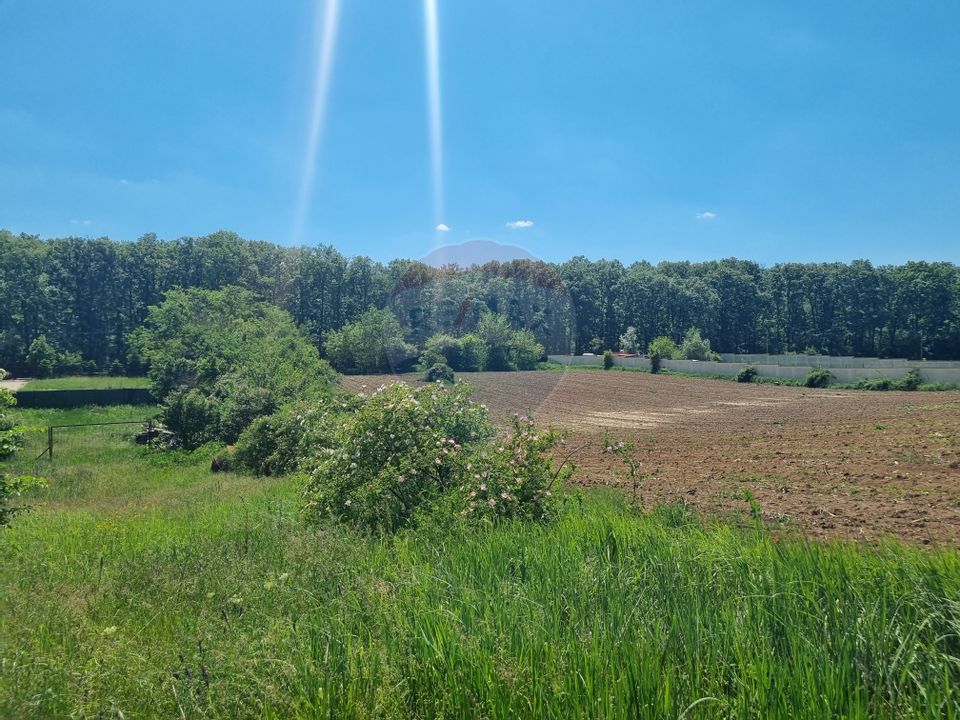 Land 872.43sqm Snagov / None