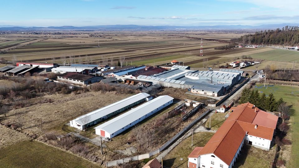 Teren intravilan 1.729 mp + hală parțial demolată | Teliu I Comision 0