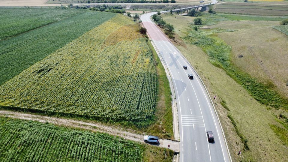 Teren 3,500mp Ilisesti / Strada Principala