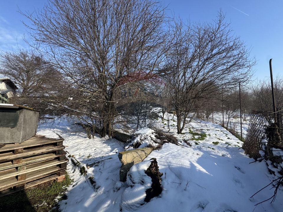 Land 4,870sqm Sintesti / Soseaua Principala