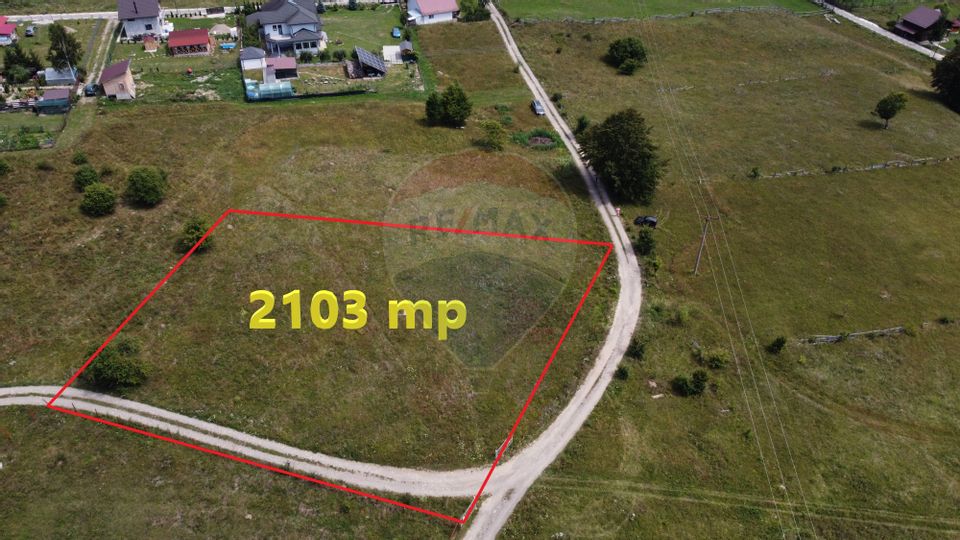 Land 2,103sqm Lepsa / Strada Zimbrului