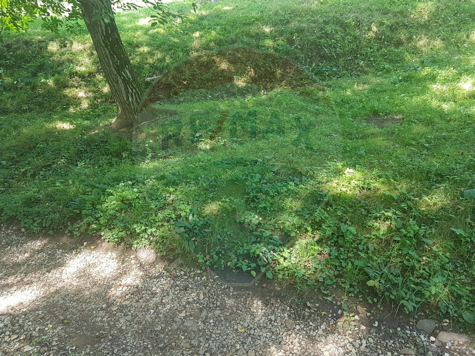 1.72 ha TEREN DE VANZARE - Seini