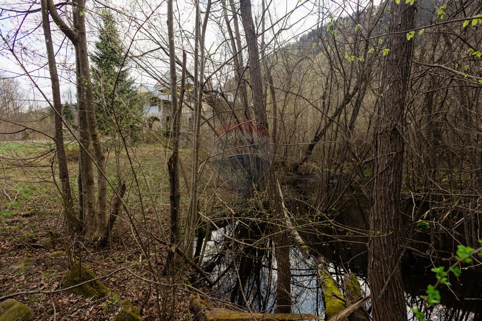 Proprietate unică în Tarcău – 30.283 mp intravilan, casă P+M