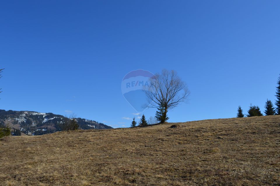 Land 8,700sqm Saru Dornei / None