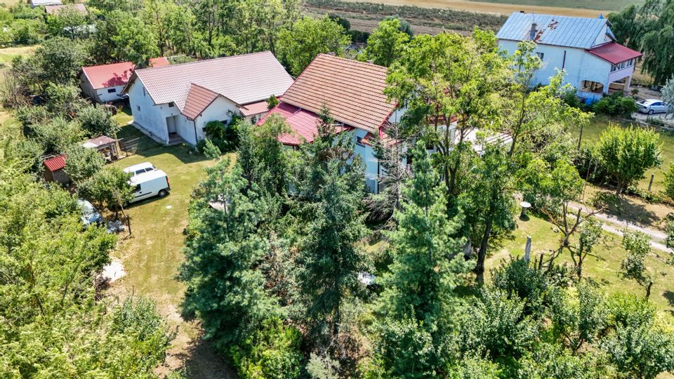 Casa+Laborator+ Teren 12.700 mp + casa de vacanta - Bolintin Vale