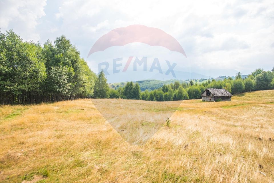 Teren extravilan Moieciu 45316mp