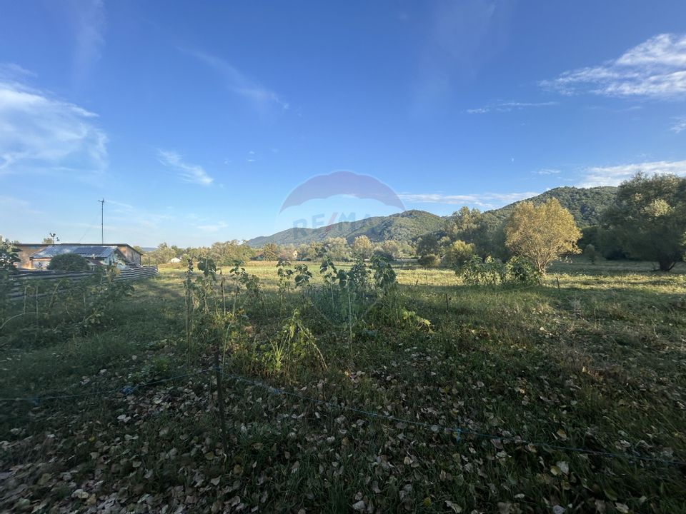 Land 2,700sqm Copalnic / Strada principala