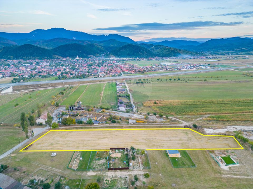 Land 10,000sqm Rasnov / Strada Alecu Russo