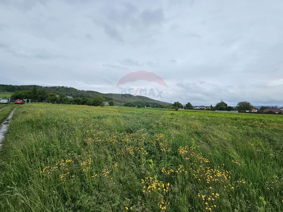 Land 1,495sqm Dobreni / Strada Parau Almas
