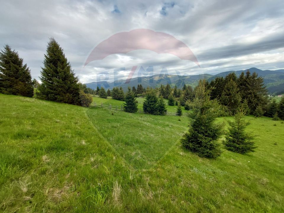 O fereastră către cer – teren de vis în Fundata, la poalele Bucegilor