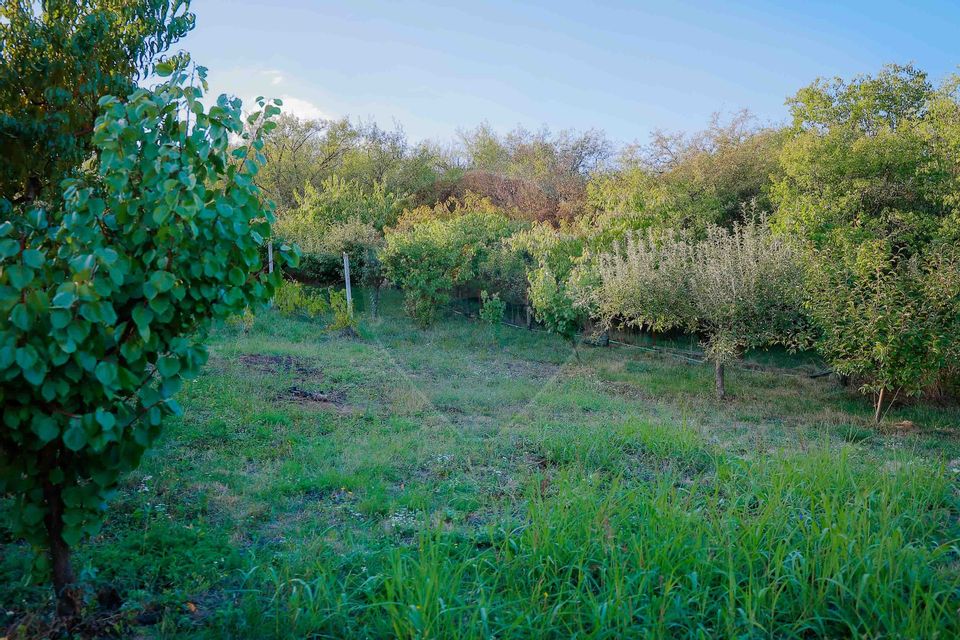 Casă / Vilă cu 5 camere de vânzare în zona Dealuri Oradea