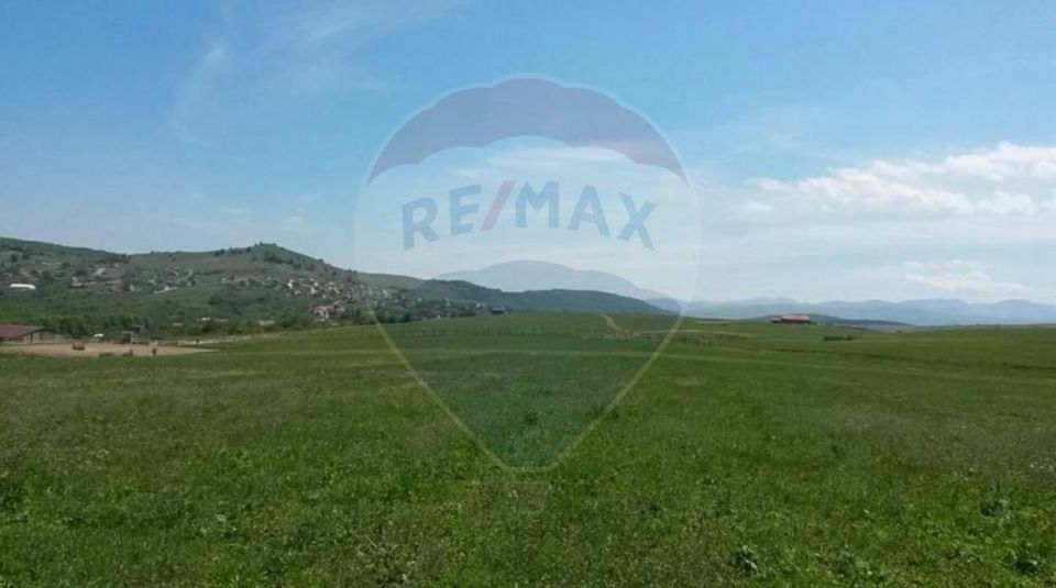 Land 3,000sqm Salicea / Soseaua Principala