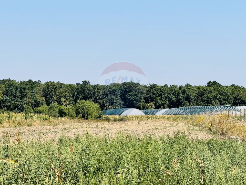 Teren 6,210mp Apateu / Strada Principala