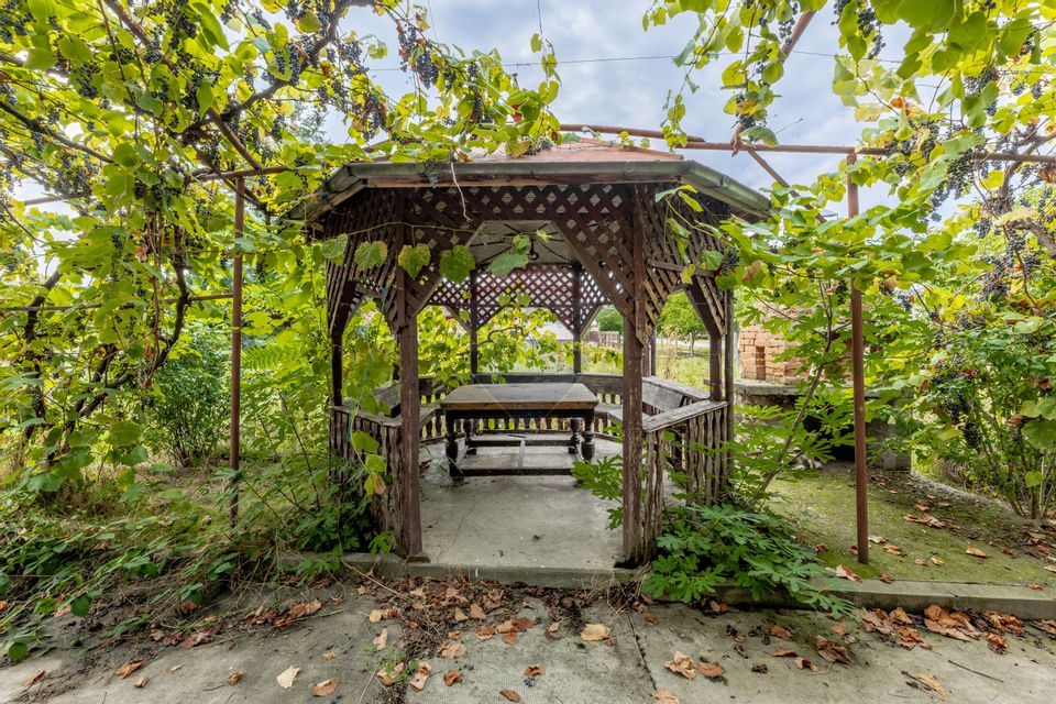 Casă spatioasa in Pancota ideala pentru doua familii