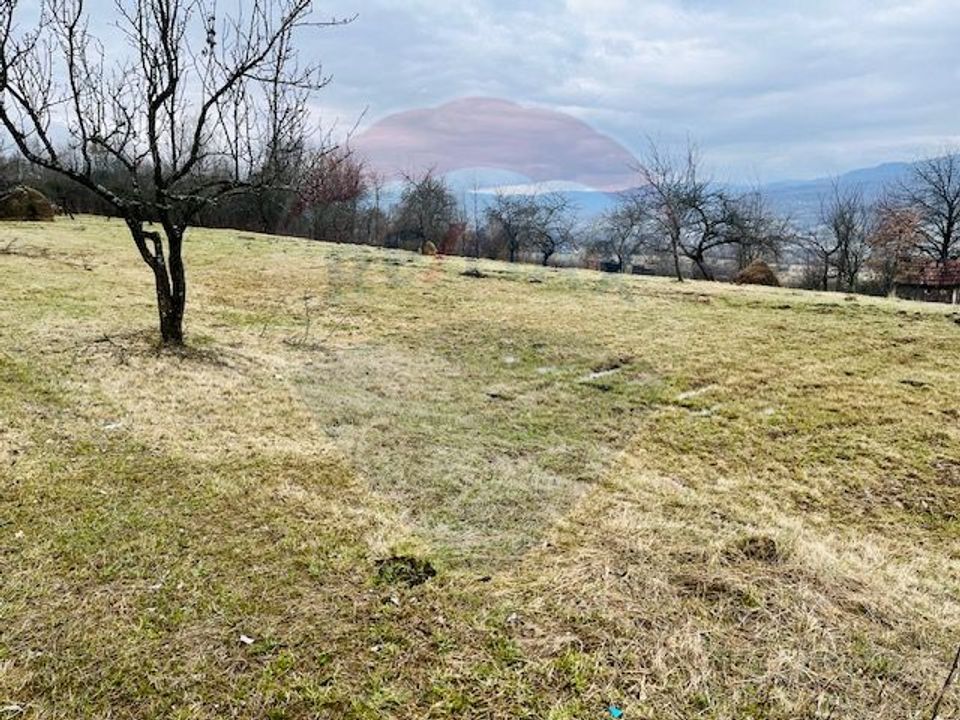 Teren 5,565mp Giulesti / Strada PRINCIPALA