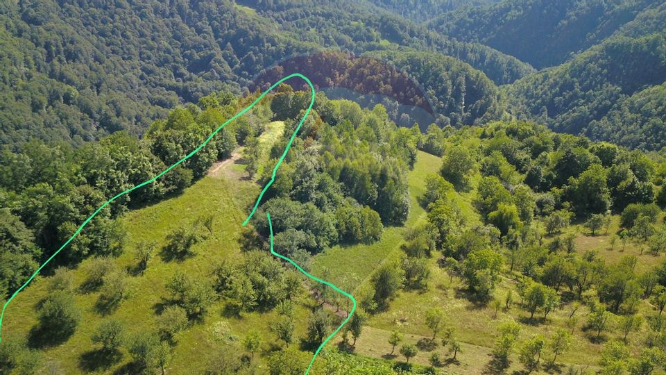 Teren 5,880mp Aspra / Preluca Noua cu o priveliște minunată