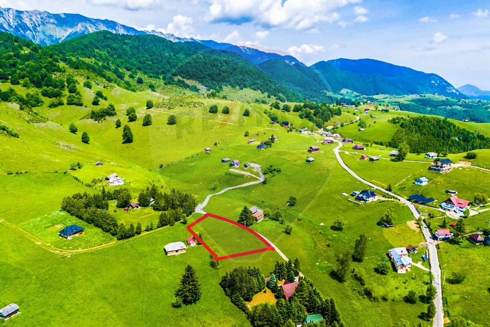 Land 2,687sqm Sirnea / Strada Principala