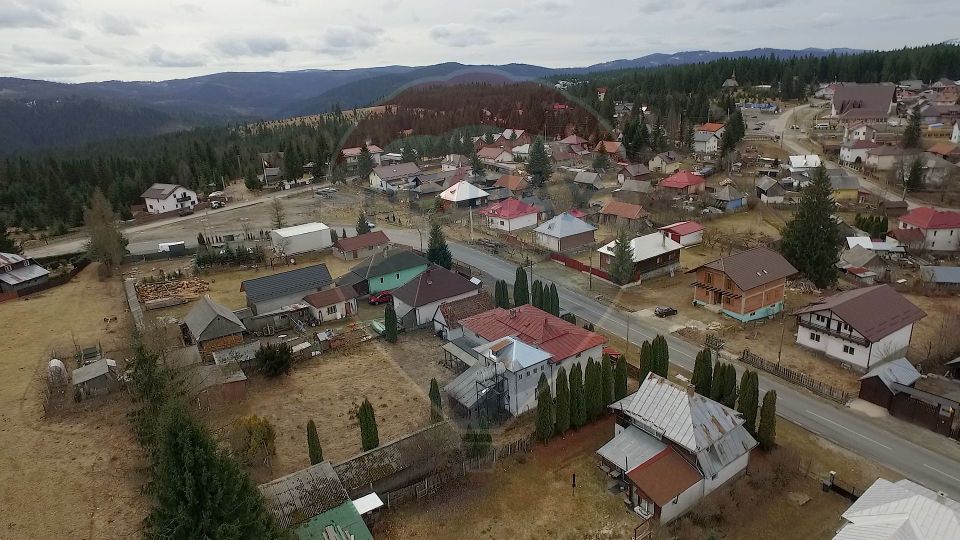 Pensiune / Cabana de vanzare | Belis