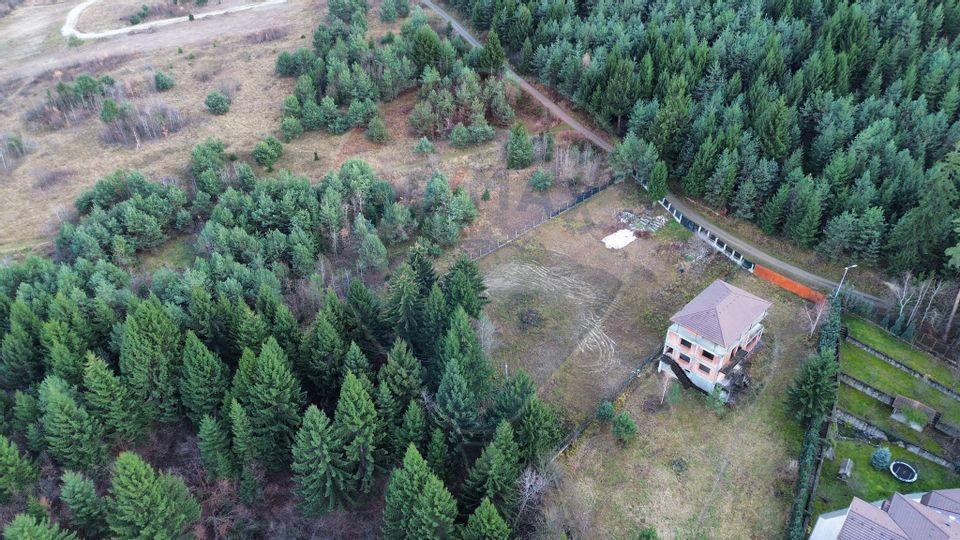 Teren Sacele / Strada Valea Larga 2000 mp