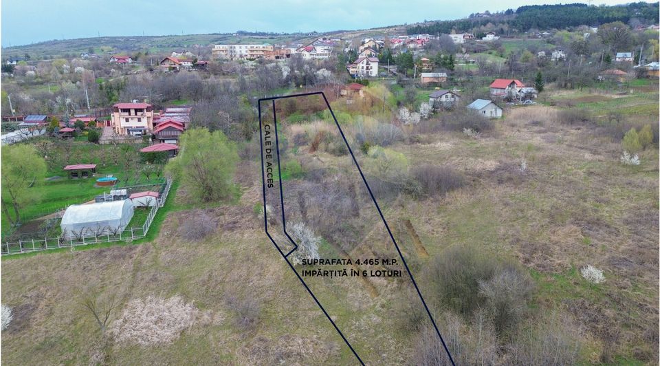 Teren Soseaua Bucium 5006 mp Intravilan - PUZ Aprobat - 6 Loturi