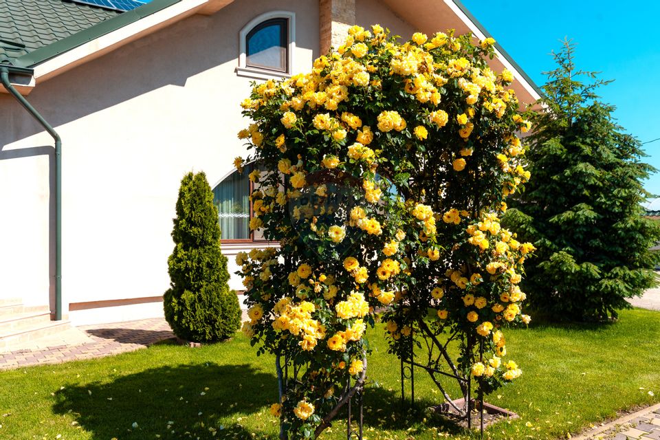 Casă / Vilă cu 4 camere de vânzare in Spataru, Buzau