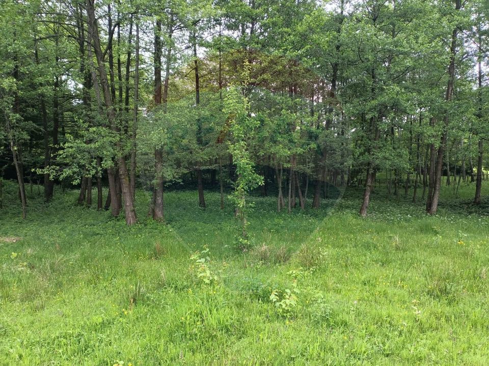 4 room House / Villa for sale