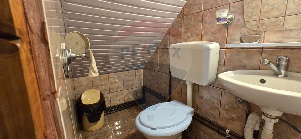 10 room Hotel / Pension for sale, Sud-Vest area