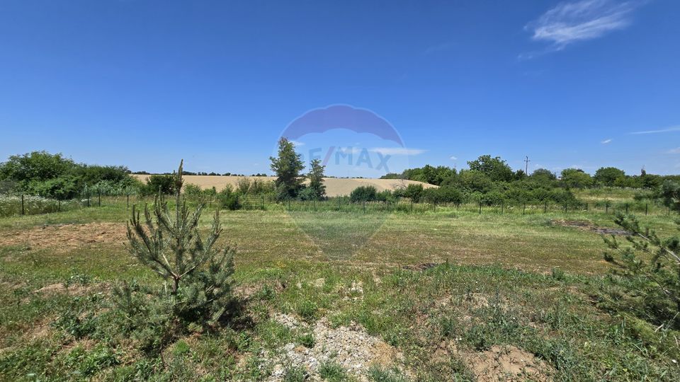 DE VANZARE | Hale | 1407mp | Teren 9344 | Potigrafu