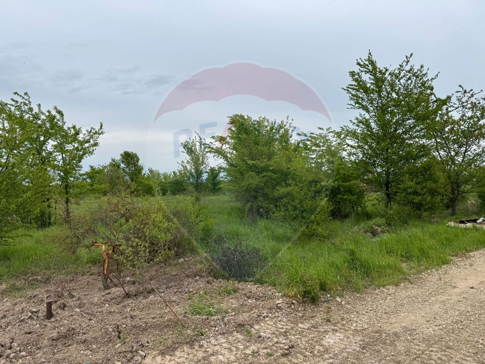 Land 960sqm Ciolpani / None