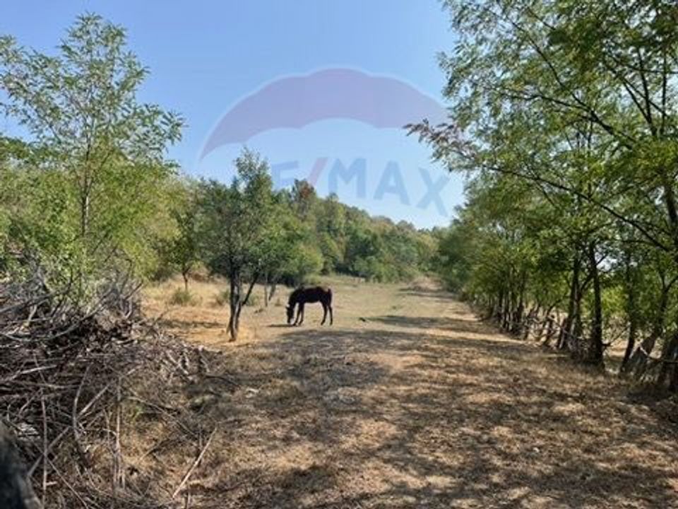 Land 4,992sqm Babana / Drumul Ciobanesti