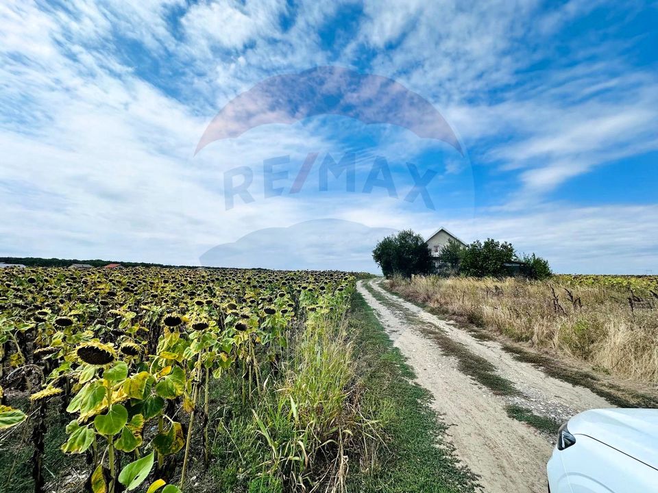 Land 14,863sqm Ciorogarla / None