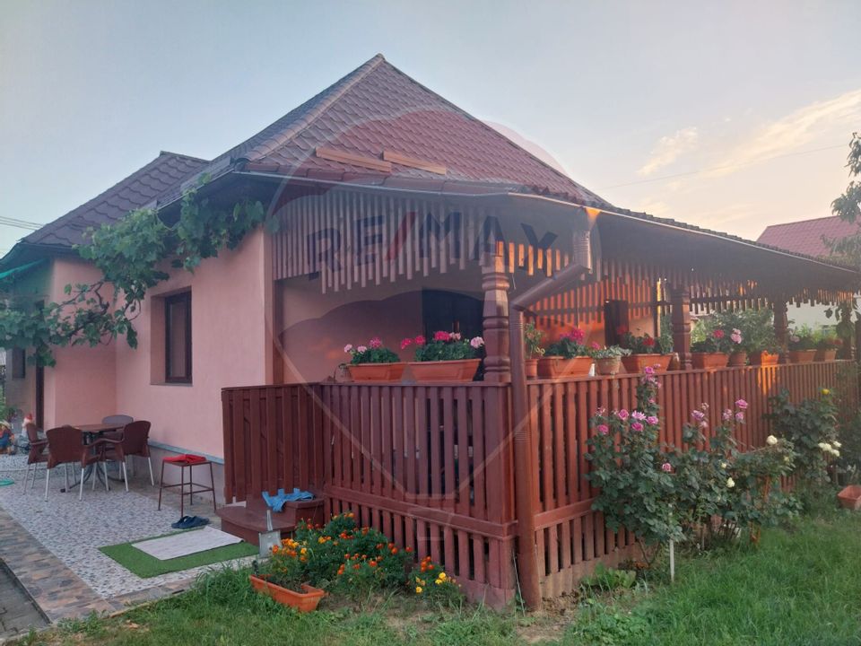 Casă P+1 si casa cu 3 camere de vanzare in Lapusel!