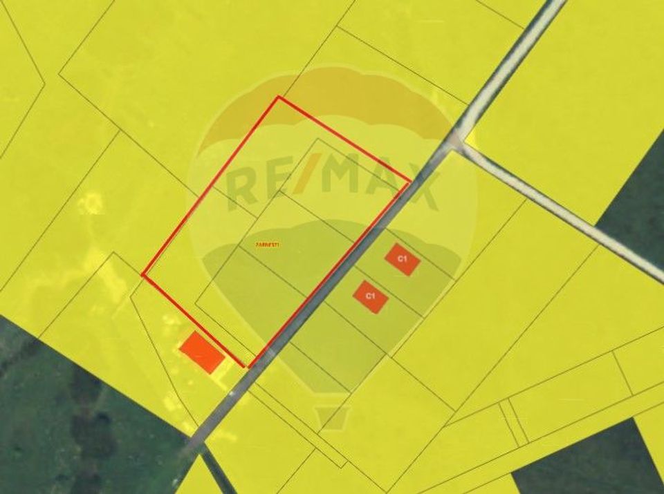 Teren Tohanu Nou, intrare Sohodol, 4800mp