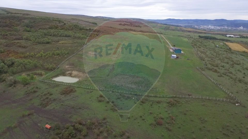 Land 94,218sqm Livada (Iclod) / Drumul Principala