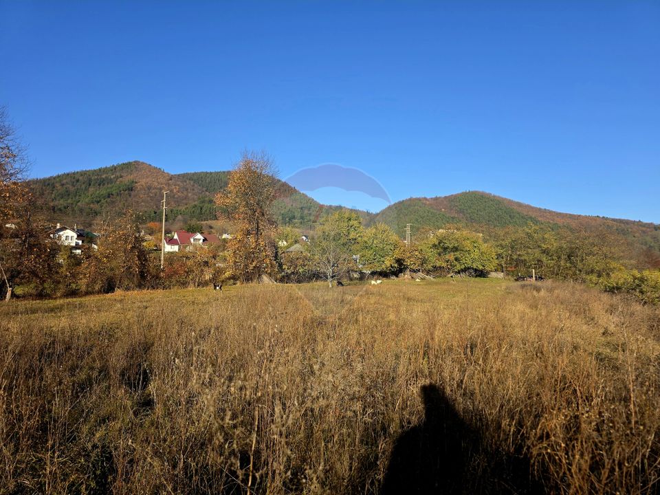 Land 6,874sqm Alexandru cel Bun / Strada plopusor