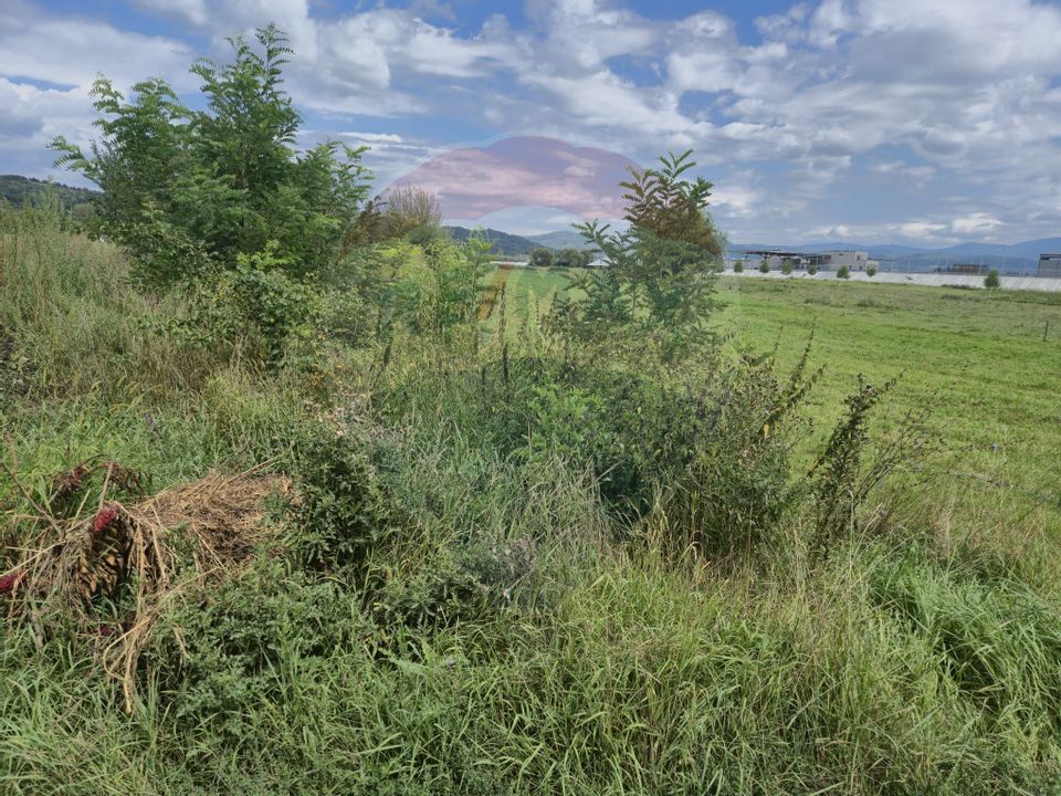 Teren 2,411mp Sighetu Marmatiei / Strada Teplitei