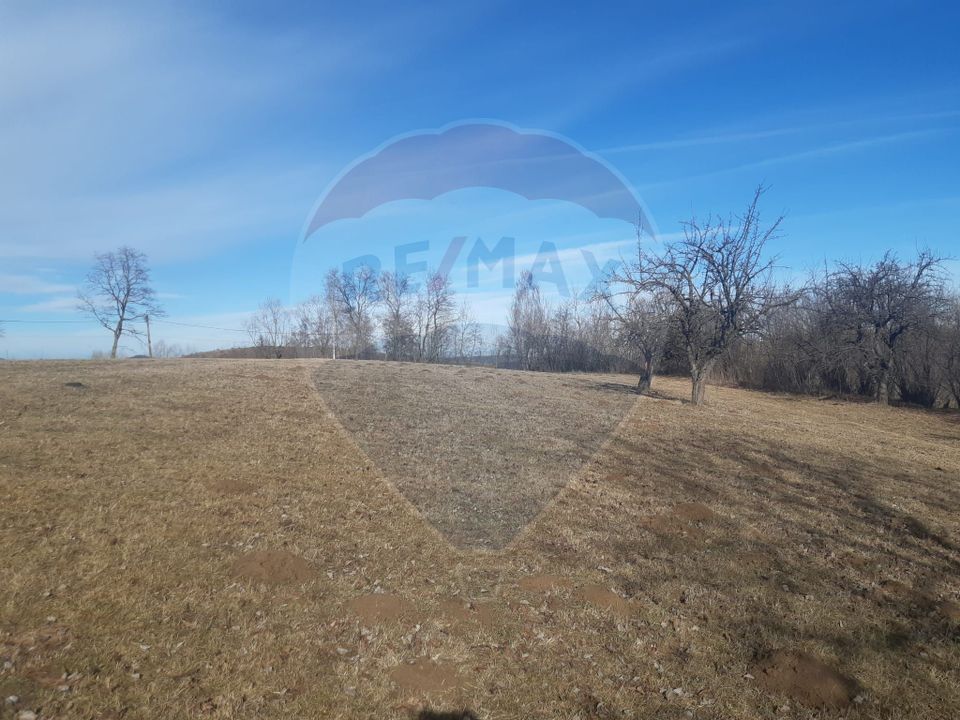 Land 10,279sqm Predelut / Strada Pe Tarina