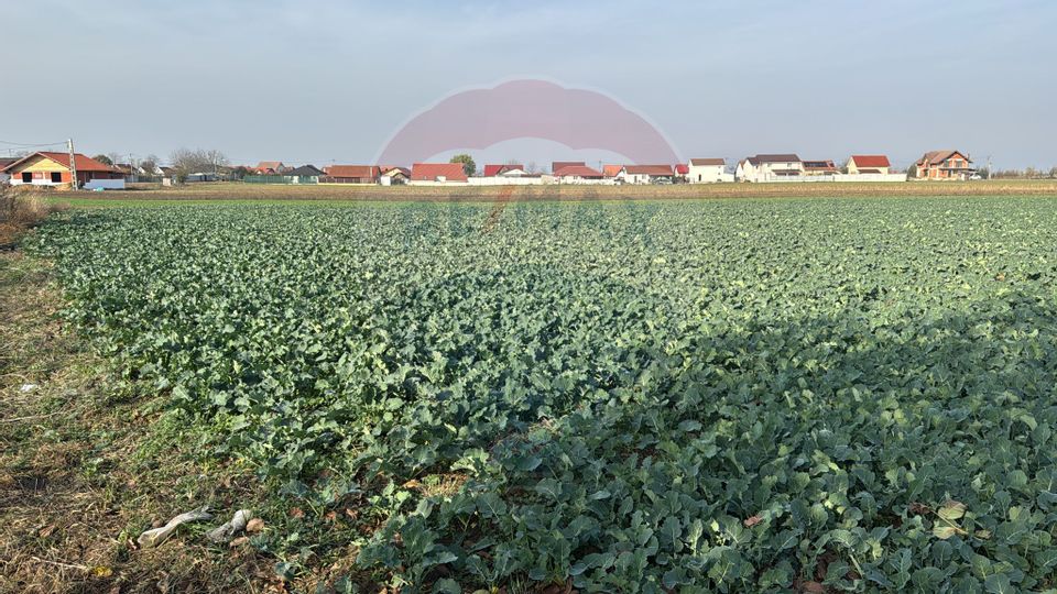 Teren intravilan de vânzare, 11.600 mp – Tărian, Girișul de Criș