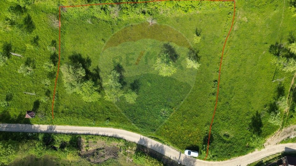 COMISION ZERO - Teren 2339 mp in Barsana