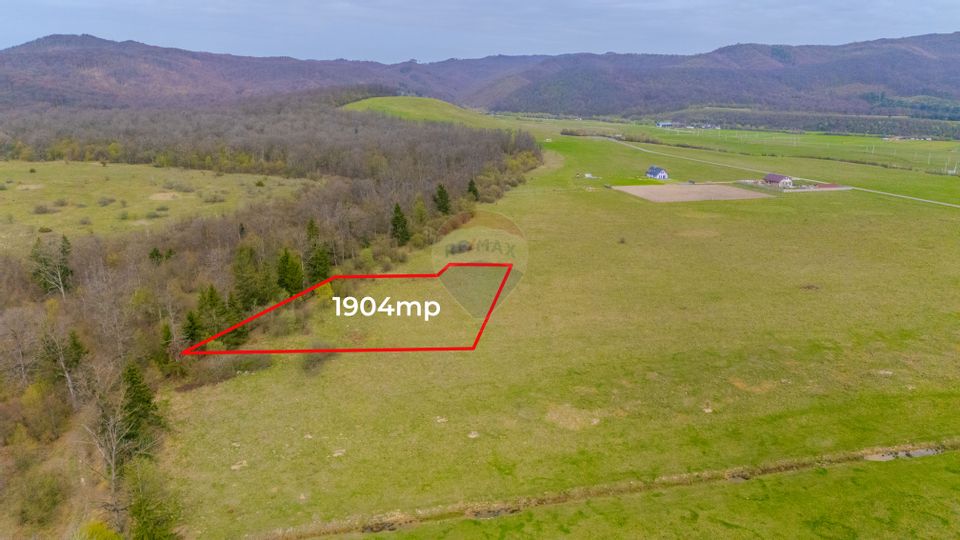 Teren Crizbav 1904 mp/PUZ/Langa Padure/Intravilan