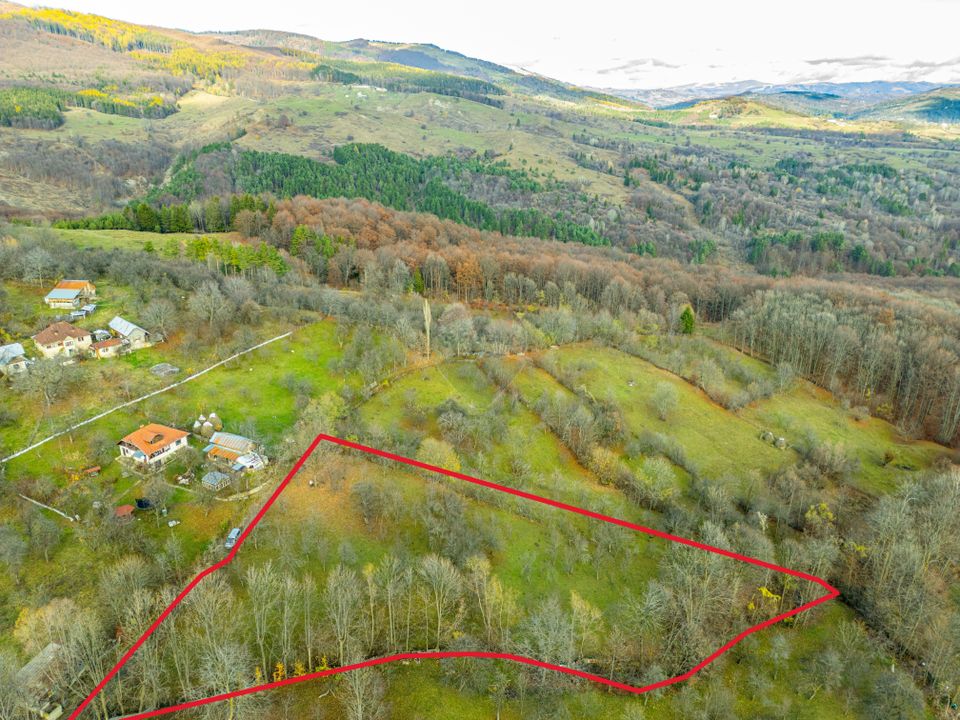 Urban land 4384 sq m – Talea commune, Prahova county