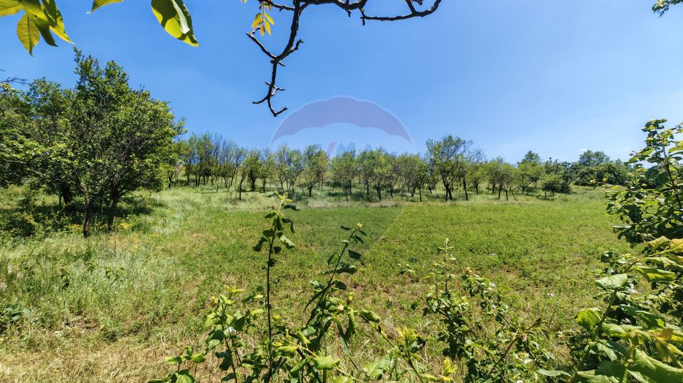 Land 3,864sqm Urlati / Strada Valea Seman