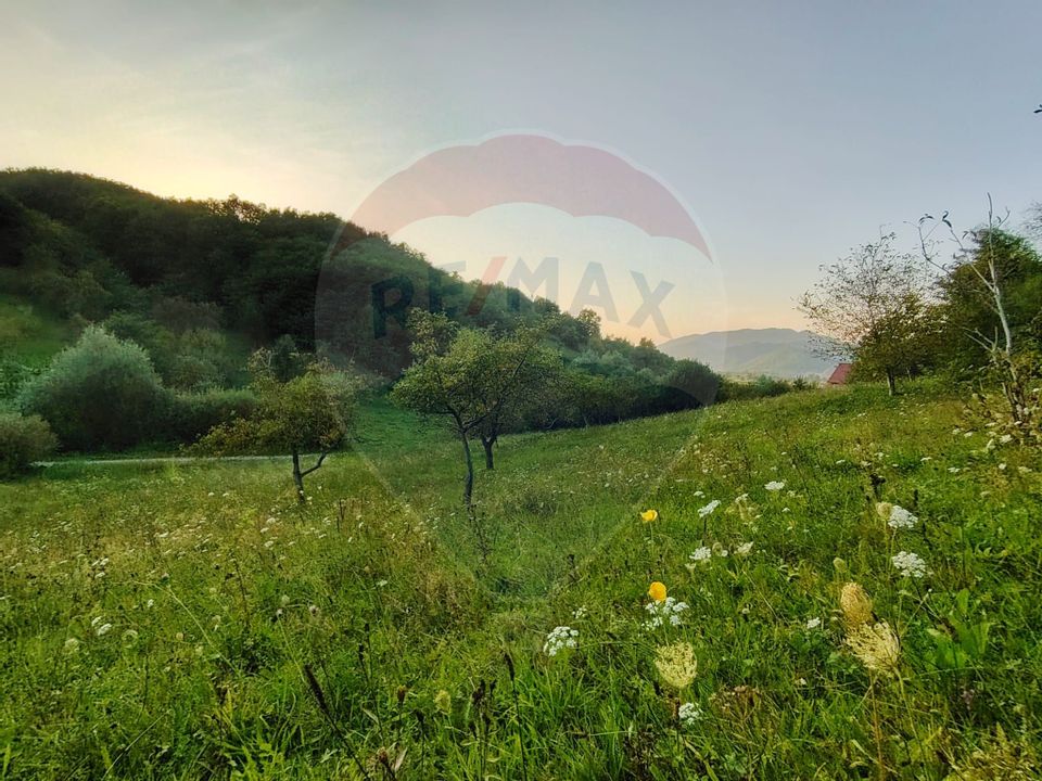 COMISION ZERO - Teren 2339 mp in Barsana